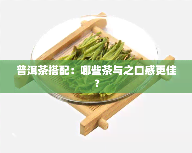 普洱茶搭配：哪些茶与之口感更佳？