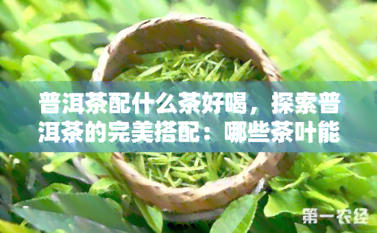 普洱茶配什么茶好喝，探索普洱茶的完美搭配：哪些茶叶能让你的口感升级？