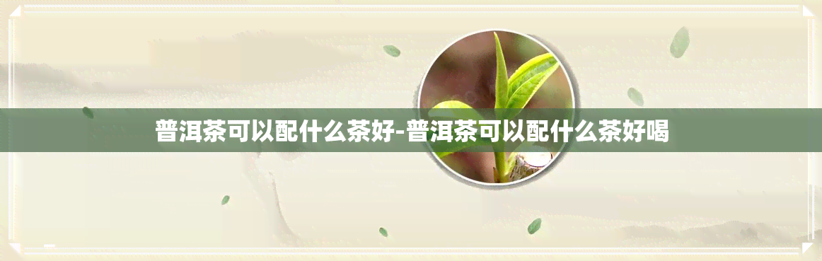 普洱茶可以配什么茶好-普洱茶可以配什么茶好喝