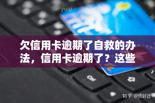 欠信用卡逾期了自救的办法，信用卡逾期了？这些自救办法或能帮到你！