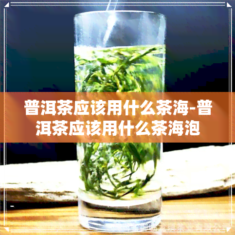 普洱茶应该用什么茶海-普洱茶应该用什么茶海泡