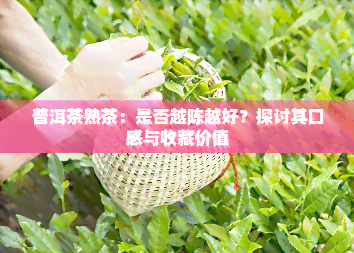 普洱茶熟茶：是否越陈越好？探讨其口感与收藏价值