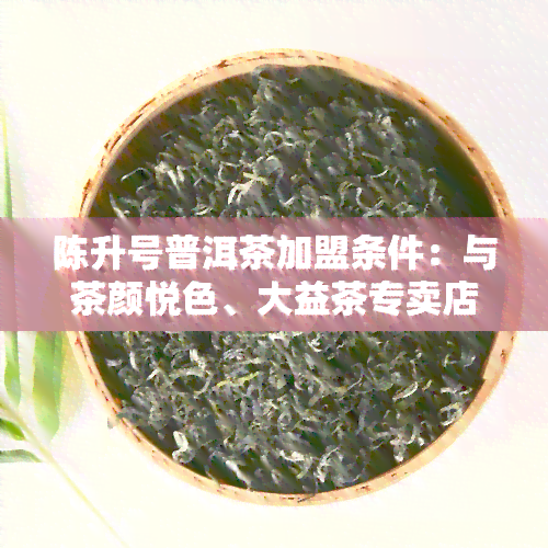 陈升号普洱茶加盟条件：与茶颜悦色、大益茶专卖店加盟条件对比