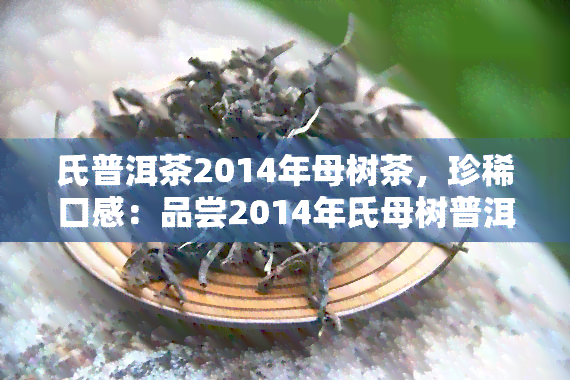 氏普洱茶2014年母树茶，珍稀口感：品尝2014年氏母树普洱茶