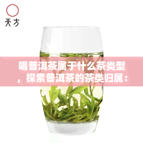 喝普洱茶属于什么茶类型，探索普洱茶的茶类归属：它属于哪一类茶叶？