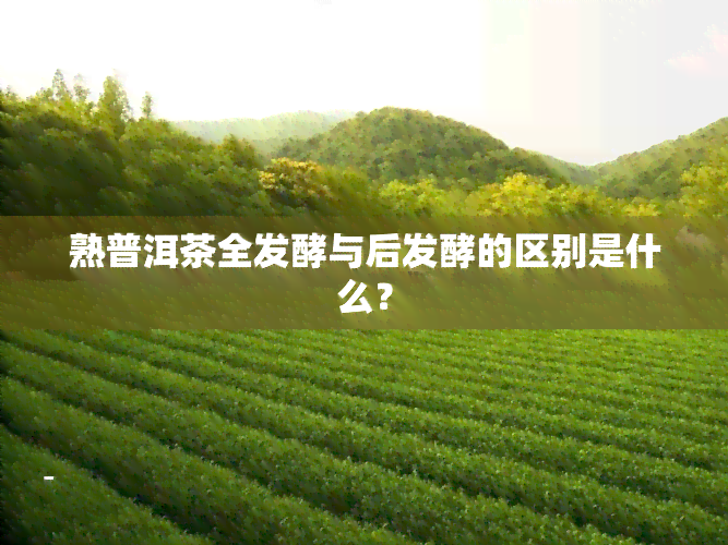 熟普洱茶全发酵与后发酵的区别是什么？