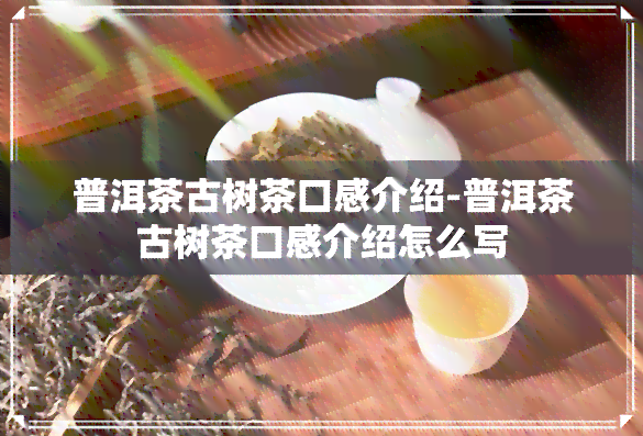 普洱茶古树茶口感介绍-普洱茶古树茶口感介绍怎么写