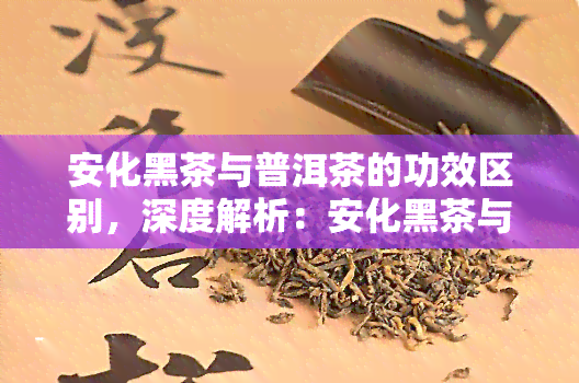 安化黑茶与普洱茶的功效区别，深度解析：安化黑茶与普洱茶的六大功效有何不同？