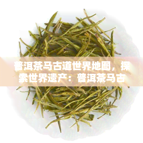 普洱茶马古道世界地图，探索世界遗产：普洱茶马古道的世界地图