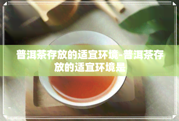 普洱茶存放的适宜环境-普洱茶存放的适宜环境是