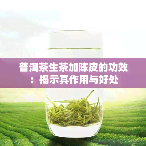 普洱茶生茶加陈皮的功效：揭示其作用与好处