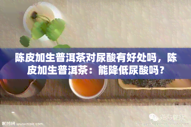 陈皮加生普洱茶对尿酸有好处吗，陈皮加生普洱茶：能降低尿酸吗？