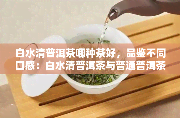 白水清普洱茶哪种茶好，品鉴不同口感：白水清普洱茶与普通普洱茶的比较