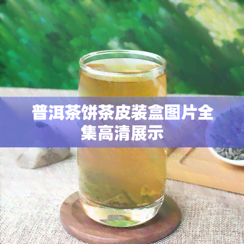 普洱茶饼茶皮装盒图片全集高清展示