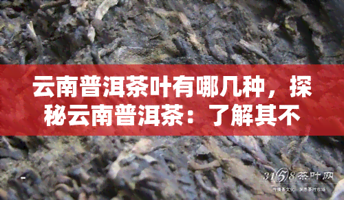 云南普洱茶叶有哪几种，探秘云南普洱茶：了解其不同种类和特点