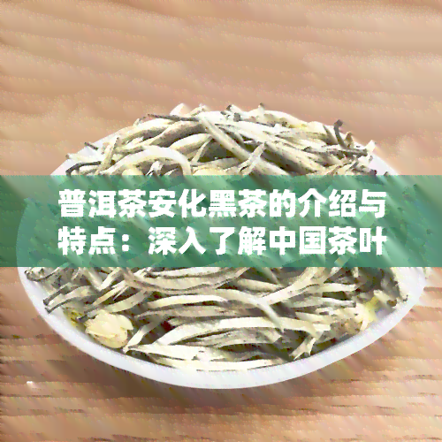 普洱茶安化黑茶的介绍与特点：深入了解中国茶叶文化