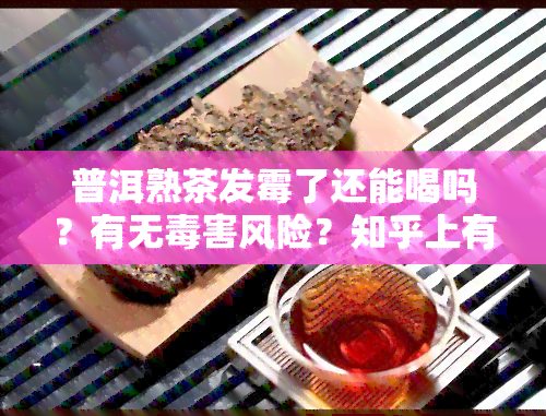 普洱熟茶发霉了还能喝吗？有无害风险？知乎上有答案！