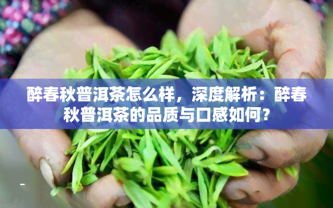 醉春秋普洱茶怎么样，深度解析：醉春秋普洱茶的品质与口感如何？