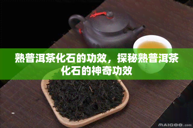 熟普洱茶化石的功效，探秘熟普洱茶化石的神奇功效