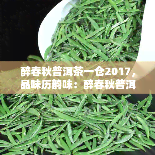 醉春秋普洱茶一仓2017，品味历韵味：醉春秋普洱茶一仓2017