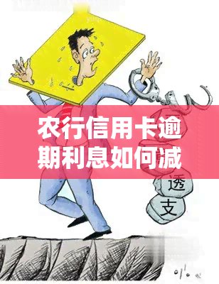 农行信用卡逾期利息如何减免？最新政策解读及打官司胜算分析