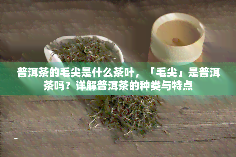 普洱茶的毛尖是什么茶叶，「毛尖」是普洱茶吗？详解普洱茶的种类与特点