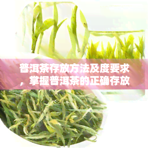 普洱茶存放方法及度要求，掌握普洱茶的正确存放方法与度要求，让陈年老茶更美味！