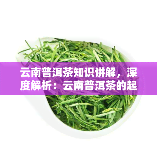 云南普洱茶知识讲解，深度解析：云南普洱茶的起源、制作工艺与品鉴技巧