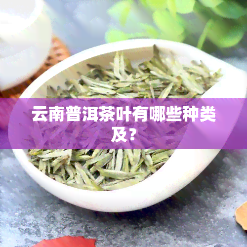 云南普洱茶叶有哪些种类及？