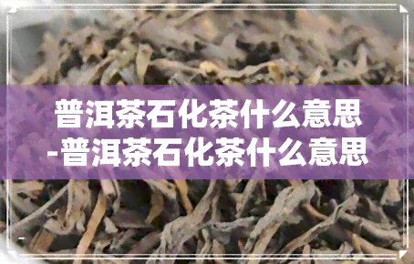 普洱茶石化茶什么意思-普洱茶石化茶什么意思啊