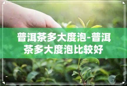 普洱茶多大度泡-普洱茶多大度泡比较好