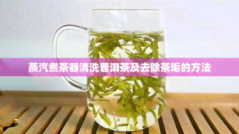 蒸汽煮茶器清洗普洱茶及去除茶垢的方法