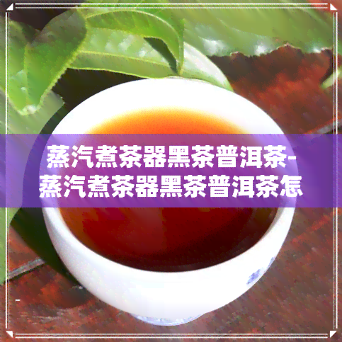 蒸汽煮茶器黑茶普洱茶-蒸汽煮茶器黑茶普洱茶怎么用