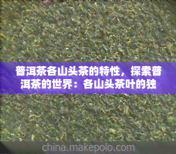 普洱茶各山头茶的特性，探索普洱茶的世界：各山头茶叶的独特特性