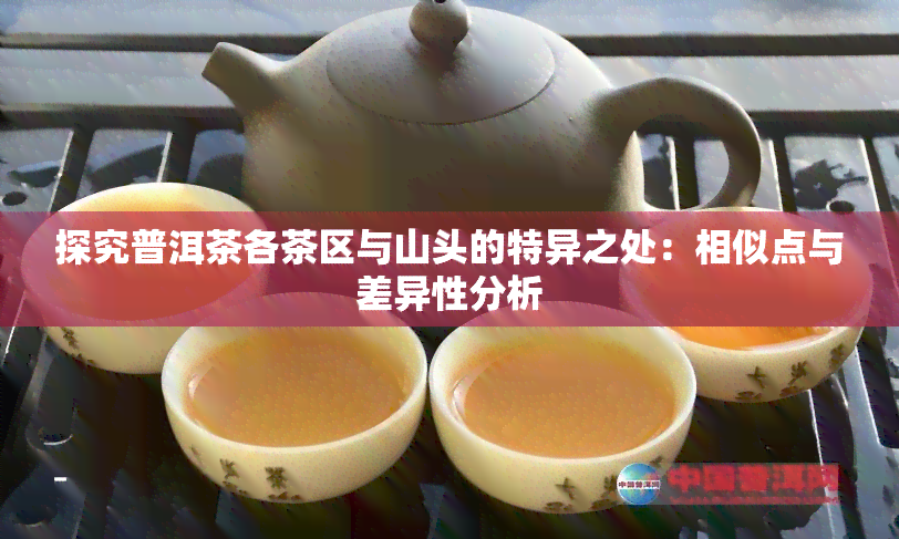 探究普洱茶各茶区与山头的特异之处：相似点与差异性分析