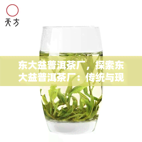 东大益普洱茶厂，探索东大益普洱茶厂：传统与现代的完美融合