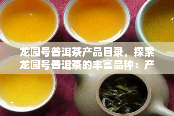 龙园号普洱茶产品目录，探索龙园号普洱茶的丰富品种：产品目录一览