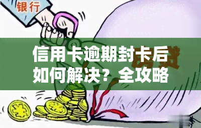 信用卡逾期封卡后如何解决？全攻略！