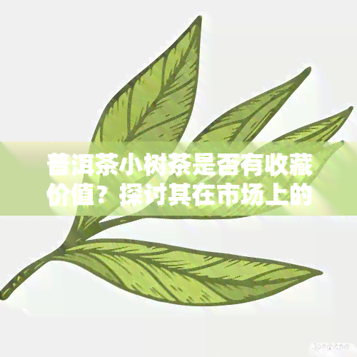 普洱茶小树茶是否有收藏价值？探讨其在市场上的价格与前景