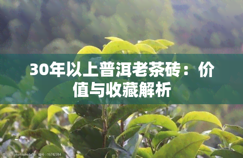 30年以上普洱老茶砖：价值与收藏解析