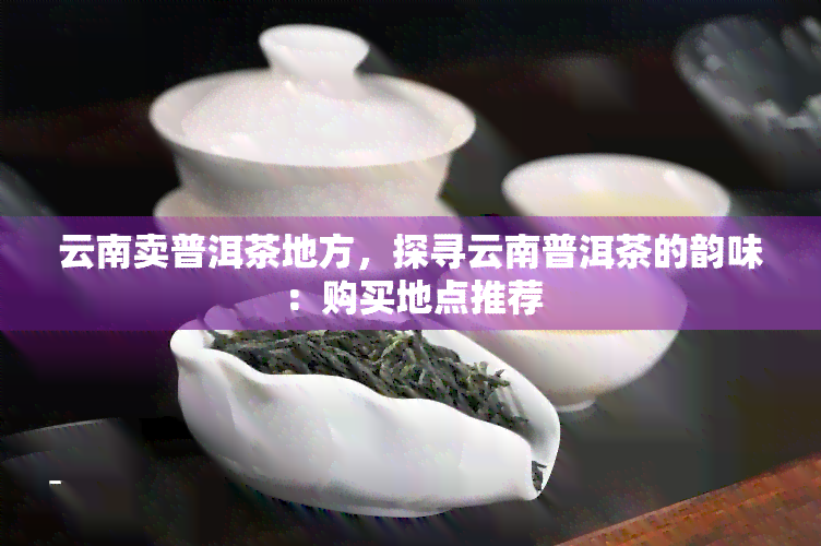 云南卖普洱茶地方，探寻云南普洱茶的韵味：购买地点推荐