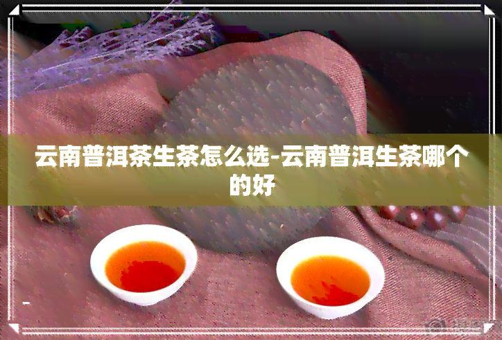 云南普洱茶生茶怎么选-云南普洱生茶哪个的好