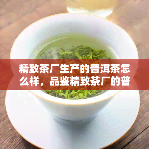 精致茶厂生产的普洱茶怎么样，品鉴精致茶厂的普洱茶：口感、品质如何？