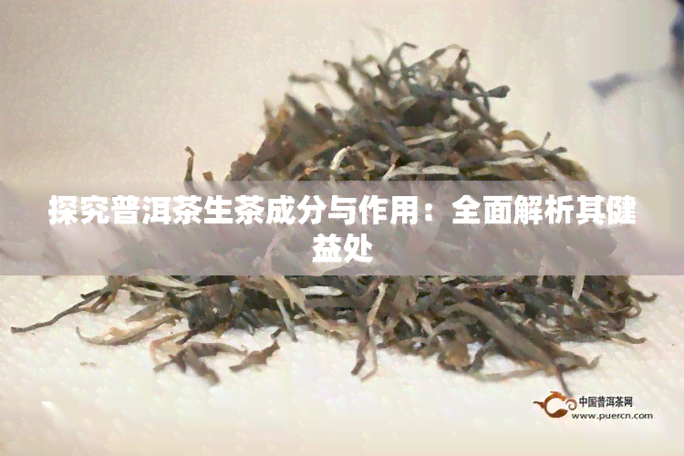 探究普洱茶生茶成分与作用：全面解析其健益处