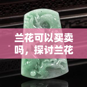 兰花可以买卖吗，探讨兰花的买卖合法性