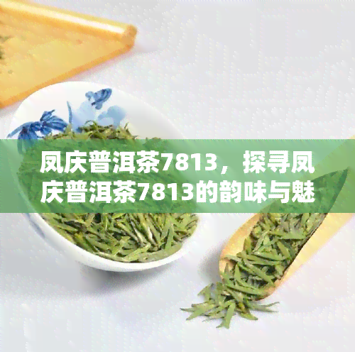 凤庆普洱茶7813，探寻凤庆普洱茶7813的韵味与魅力