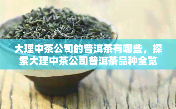 大理中茶公司的普洱茶有哪些，探索大理中茶公司普洱茶品种全览