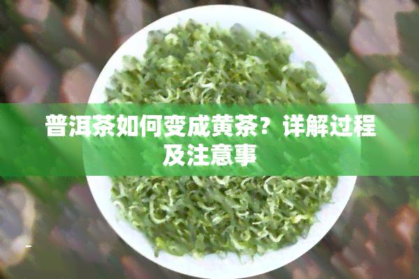 普洱茶如何变成黄茶？详解过程及注意事