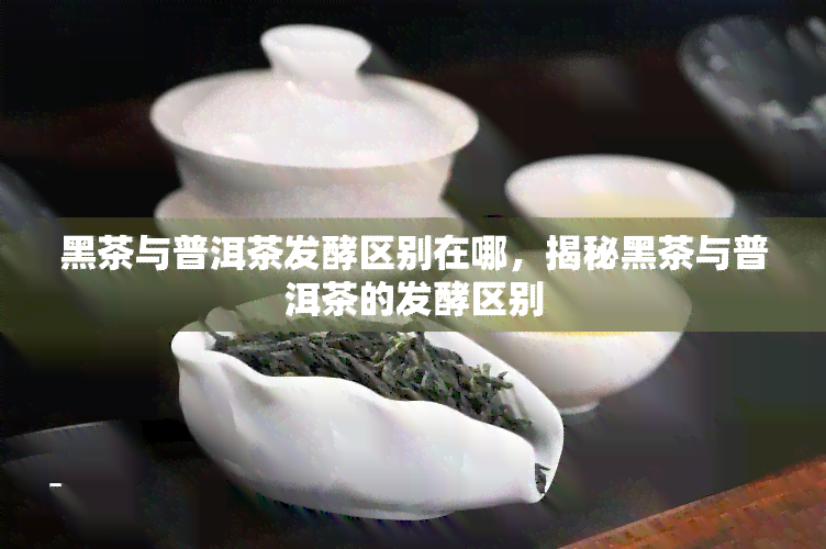 黑茶与普洱茶发酵区别在哪，揭秘黑茶与普洱茶的发酵区别