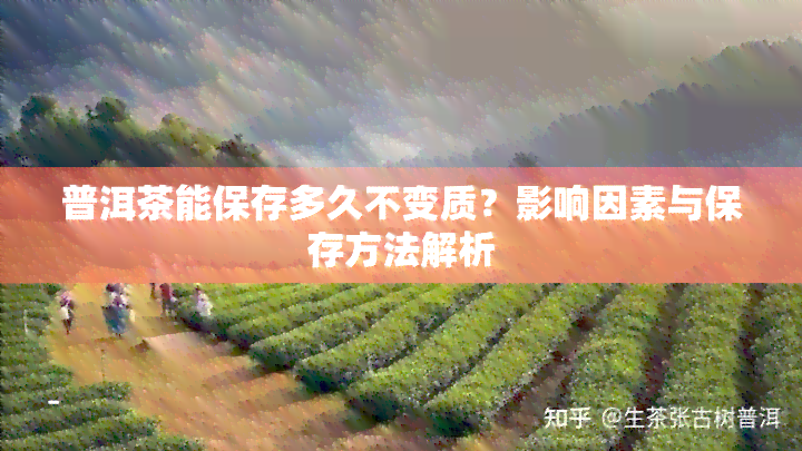 普洱茶能保存多久不变质？影响因素与保存方法解析